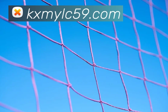 澳门凯旋门APP 封面图